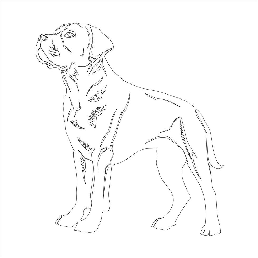 Hand drawn dog outline illustration vector