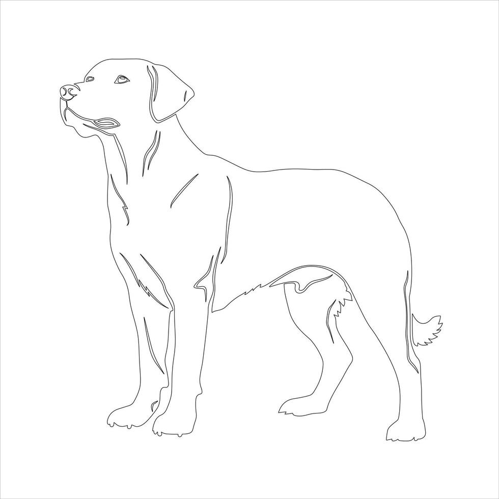 Hand drawn Labrador Retriever dog outline illustration vector