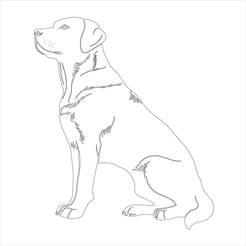 Hand drawn Labrador Retriever dog outline illustration vector