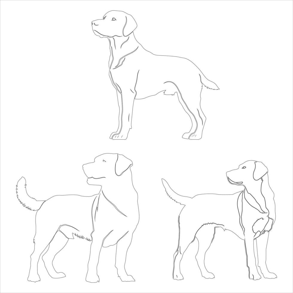 Hand drawn dog outline illustration vector