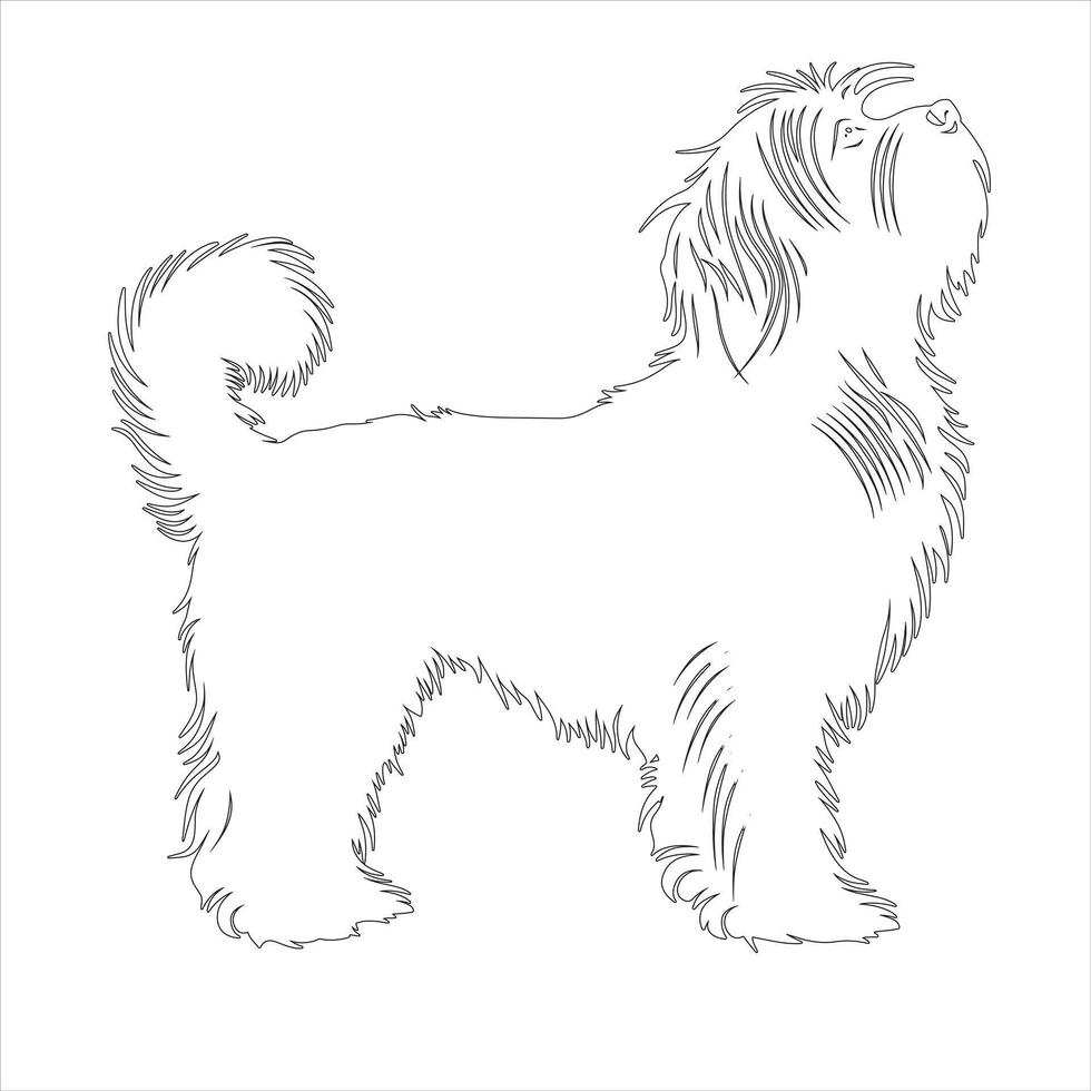 Hand drawn Havanese dog outline illustration vector
