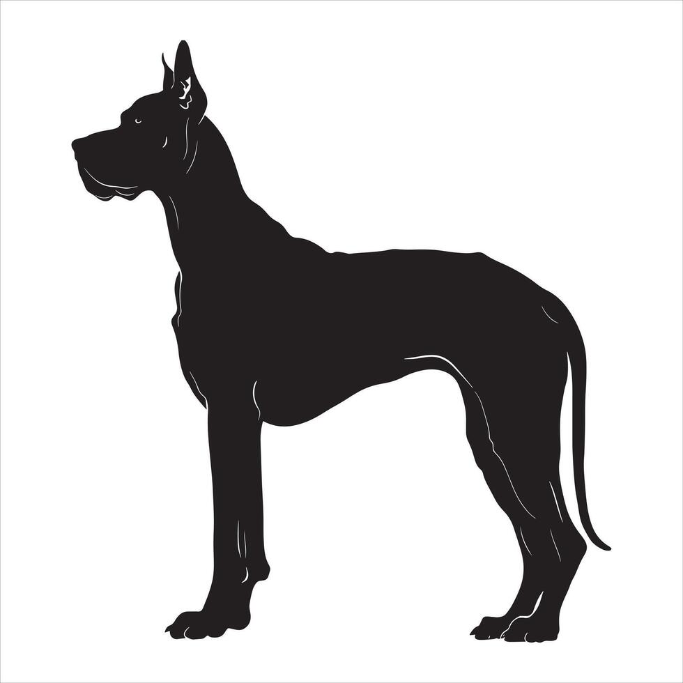 Flat illustration of Great Dane dog silhouette vector