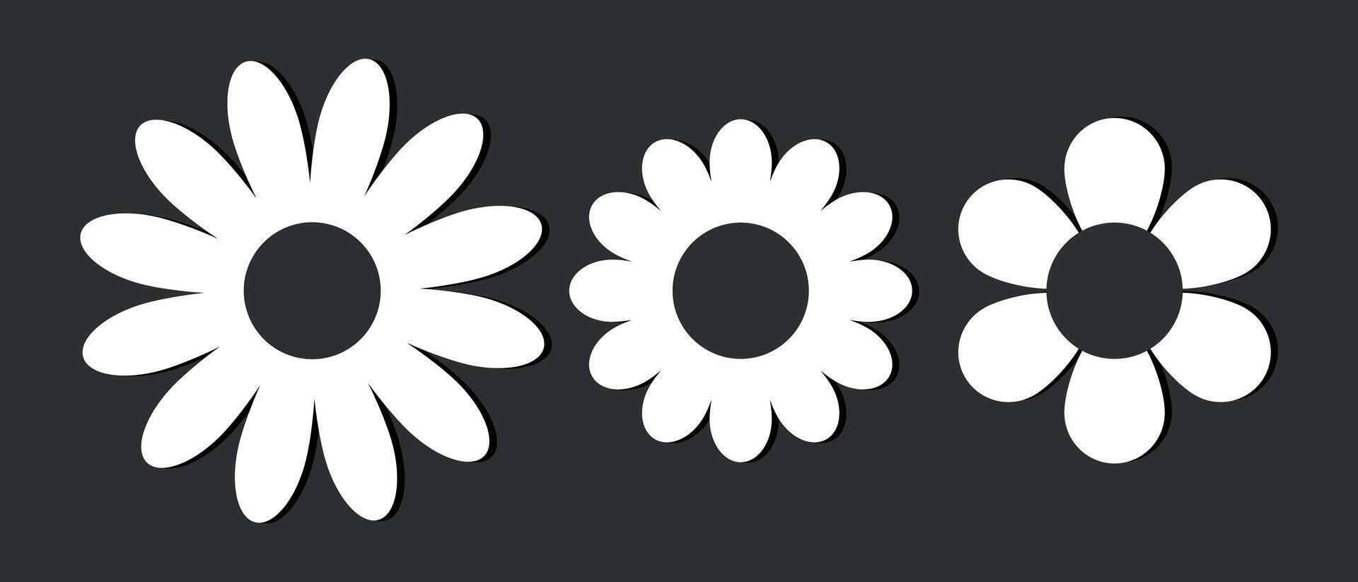 Chamomile flowers set in monochrome colors. Chamomile flower icons set on black background. Chamomile or daisy with white petals. Plant flower head sign symbol. illustration vector