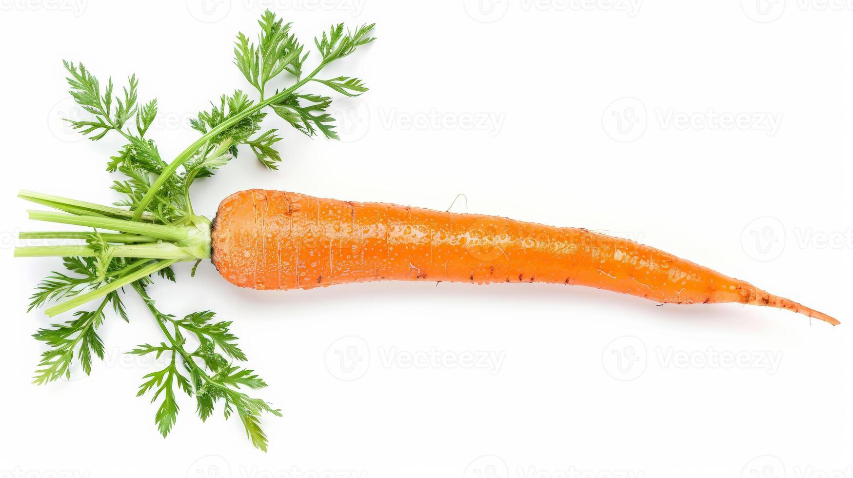 Bright orange carrot with green top, freshly washed, isolated on white background photo