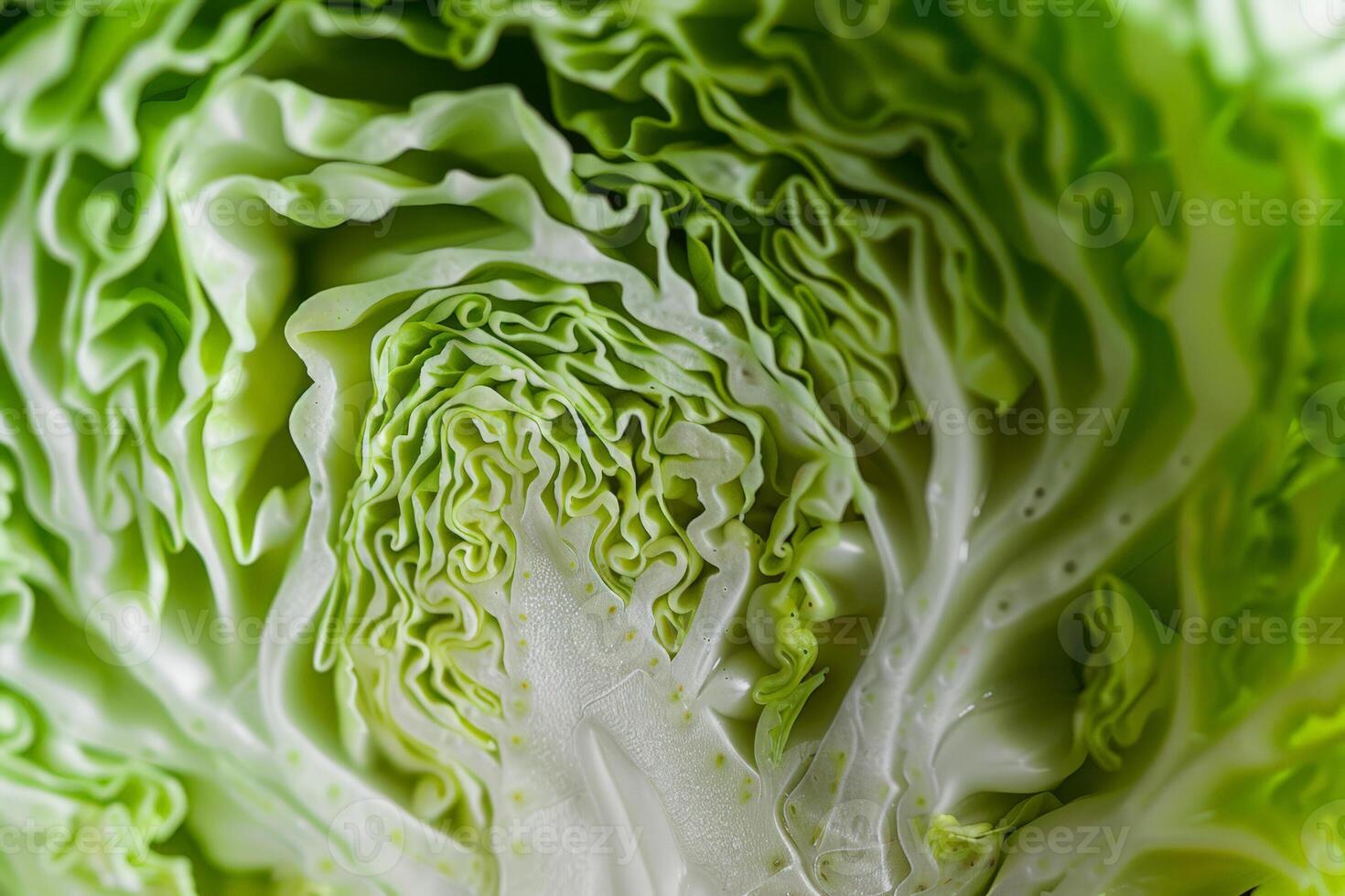 Close up of fresh green cabbage leaves texture, suitable for healthy eating concepts and vegetarian recipe backgrounds, with a focus on natural patterns photo