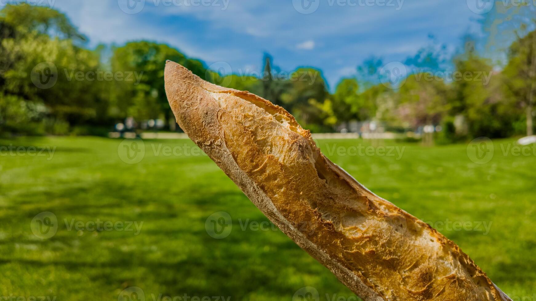 Fresco francés junquillo cerca arriba con un vibrante parque fondo, simbolizando picnics y europeo cocina, Perfecto para mundo un pan día y culinario temas foto