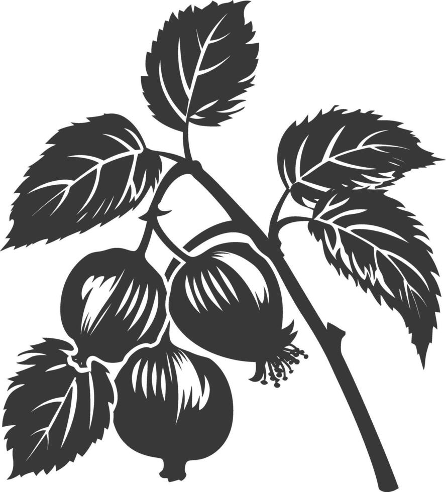 Silhouette Hazelnut fruit black color only vector