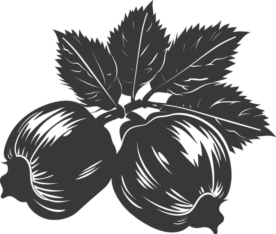 Silhouette Hazelnut fruit black color only vector