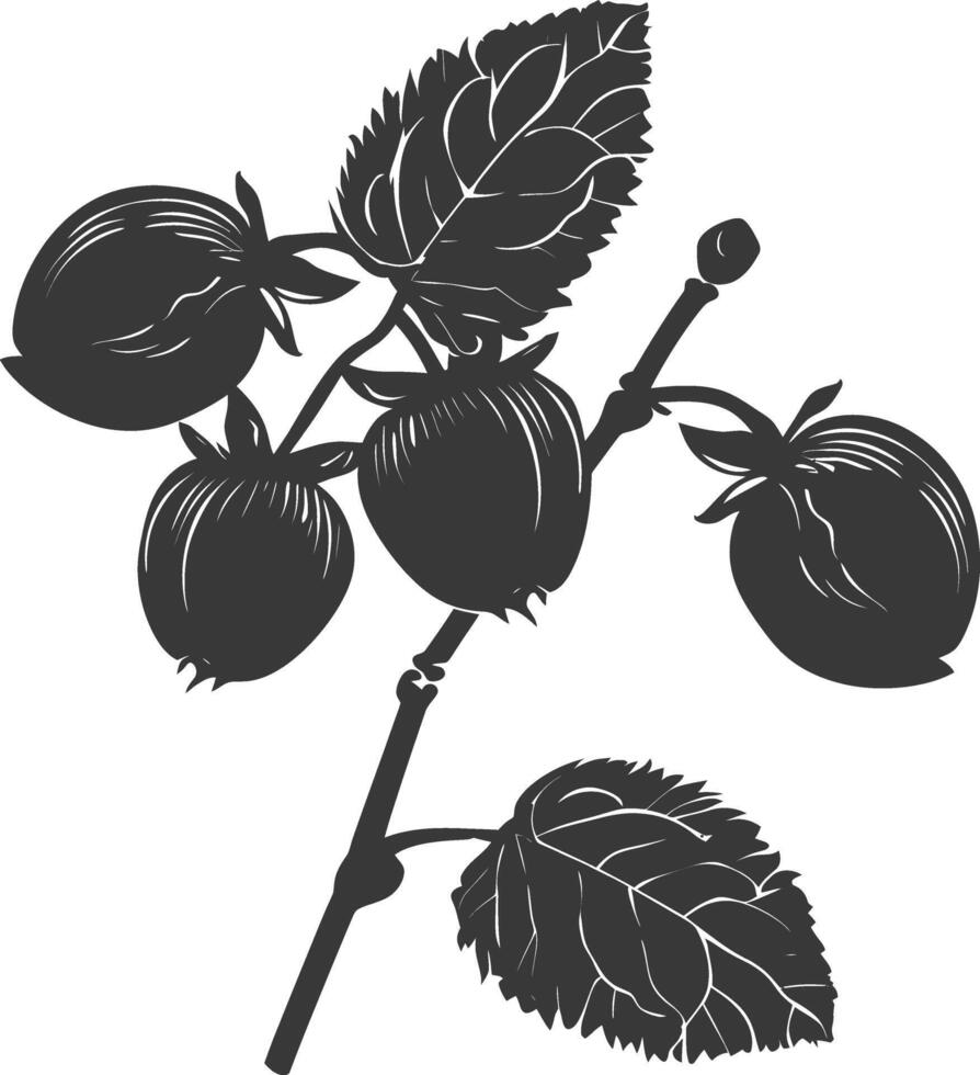 Silhouette Hazelnut fruit black color only vector