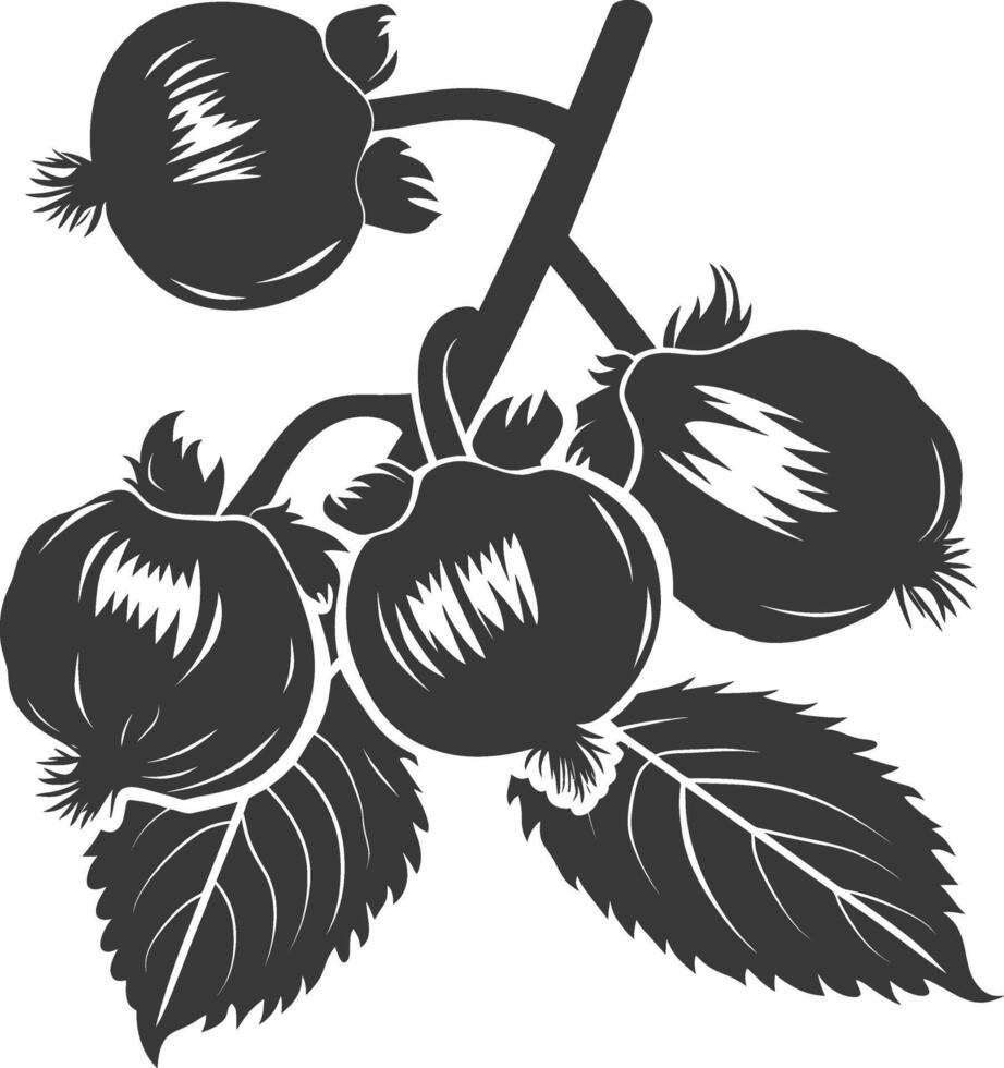 Silhouette Hazelnut fruit black color only vector