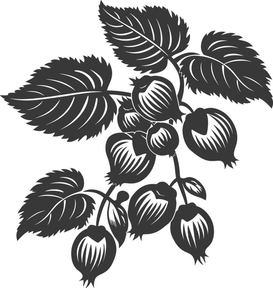 Silhouette Hazelnut fruit black color only vector