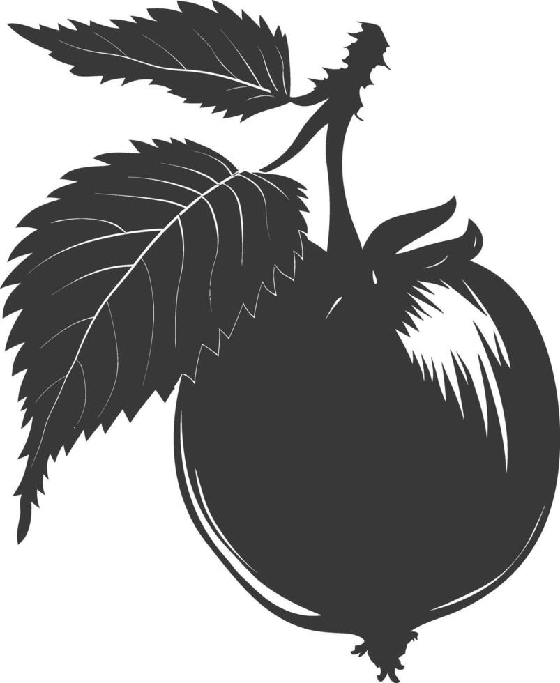 Silhouette Hazelnut fruit black color only vector