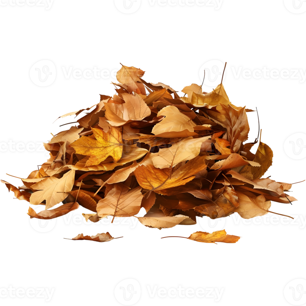 3D Rendering of a Autumn Leaves Transparent Background png