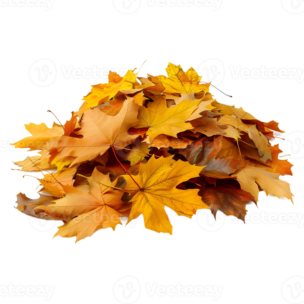 3D Rendering of a Autumn Leaves Transparent Background png