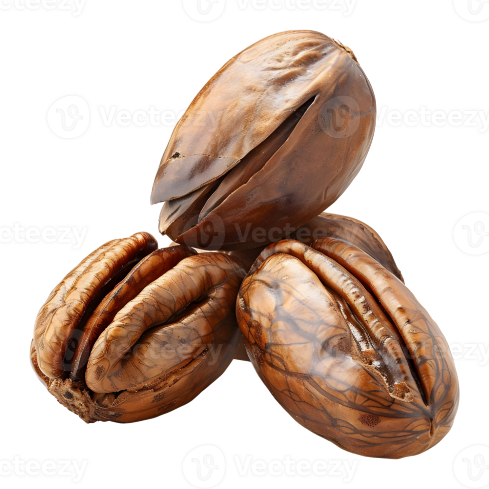3D Rendering of a Walnuts Transparent Background png
