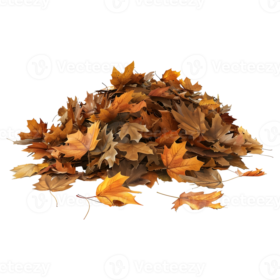3D Rendering of a Autumn Leaves Transparent Background png