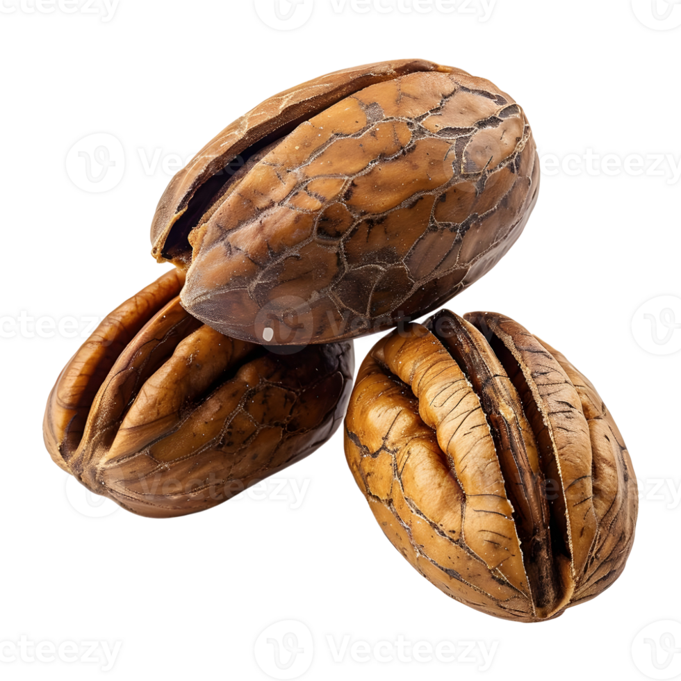 3D Rendering of a Walnuts Transparent Background png