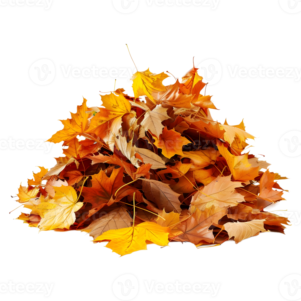 3D Rendering of a Autumn Leaves Transparent Background png