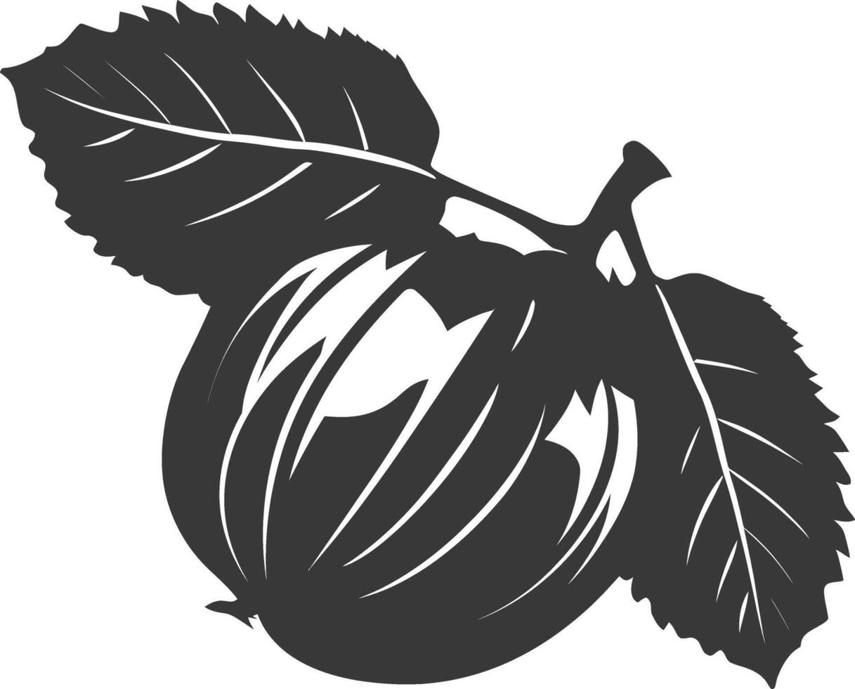 Silhouette Hazelnut fruit black color only vector