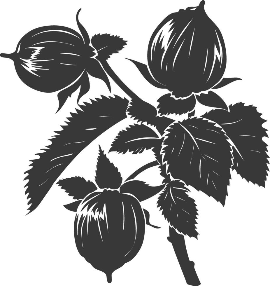 Silhouette Hazelnut fruit black color only vector