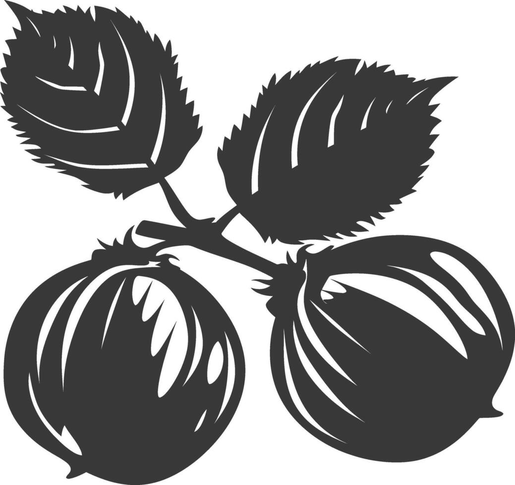 Silhouette Hazelnut fruit black color only vector