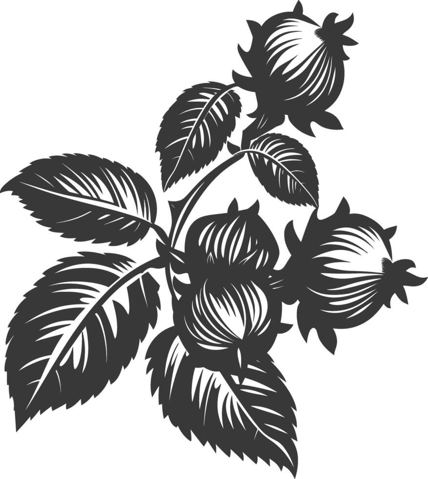 Silhouette Hazelnut fruit black color only vector