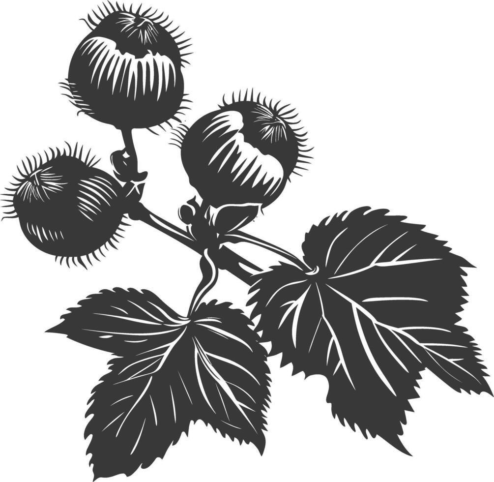 Silhouette Hazelnut fruit black color only vector