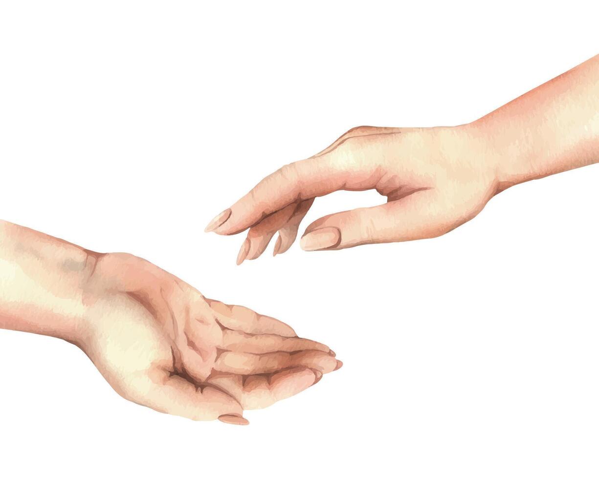 The hands of a white woman, one accepts the other gives. Realistic hand-drawn watercolor illustration. Composition isolated from the background. For the themes of Women s Day, Mother s Day, Charity vector
