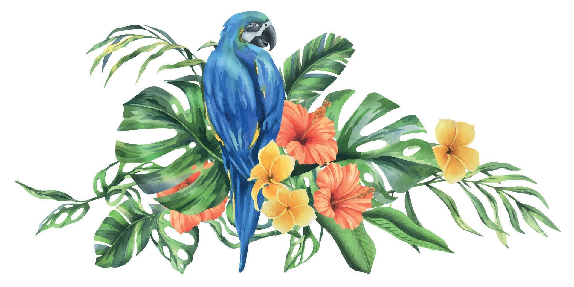 tropical palma hojas, monstera y flores de plumería, hibisco, brillante jugoso con azul amarillo guacamayo loro. mano dibujado acuarela botánico ilustración. composición aislado desde el antecedentes. vector