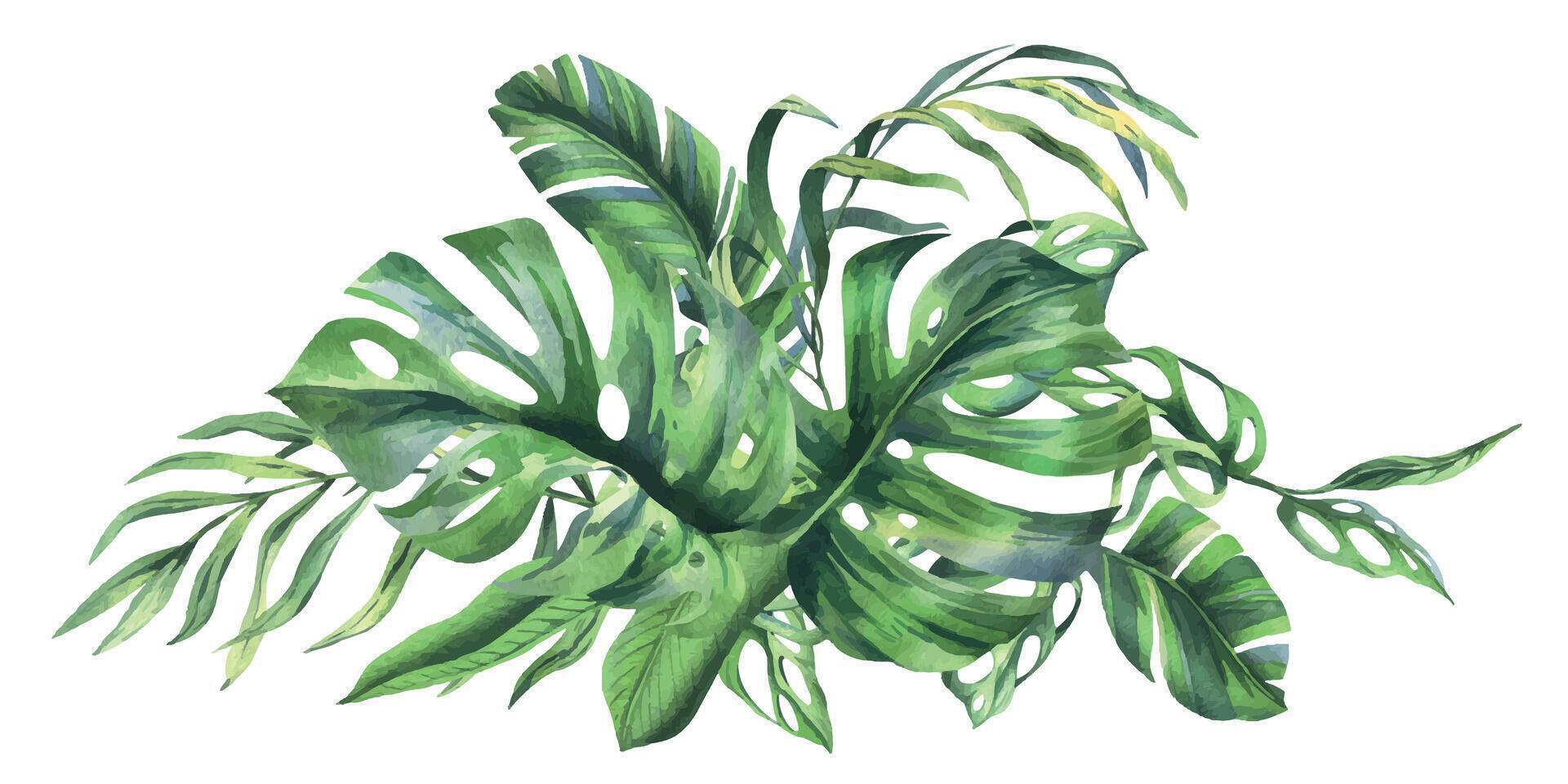Tropical coconut, banana palm leaves, monstera, monkey mask, frangipani, bright juicy green. Hand drawn watercolor botanical illustration. Composition isolated from background. vector