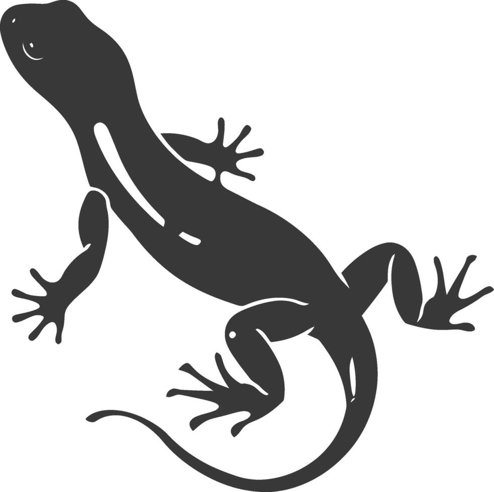 Silhouette salamander animal black color only vector