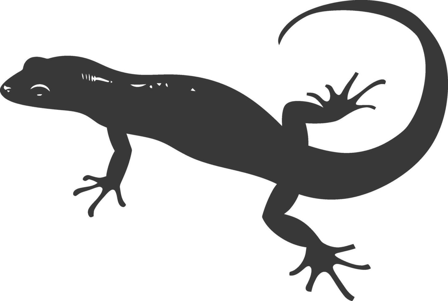 Silhouette salamander animal black color only vector