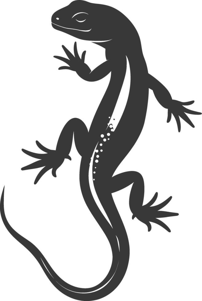 Silhouette salamander animal black color only vector