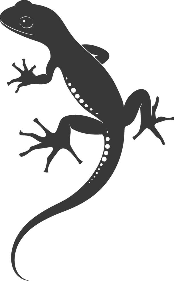 Silhouette salamander animal black color only vector
