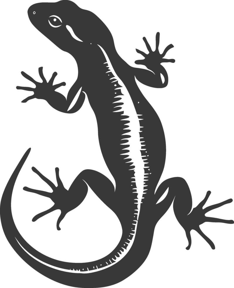 Silhouette salamander animal black color only vector