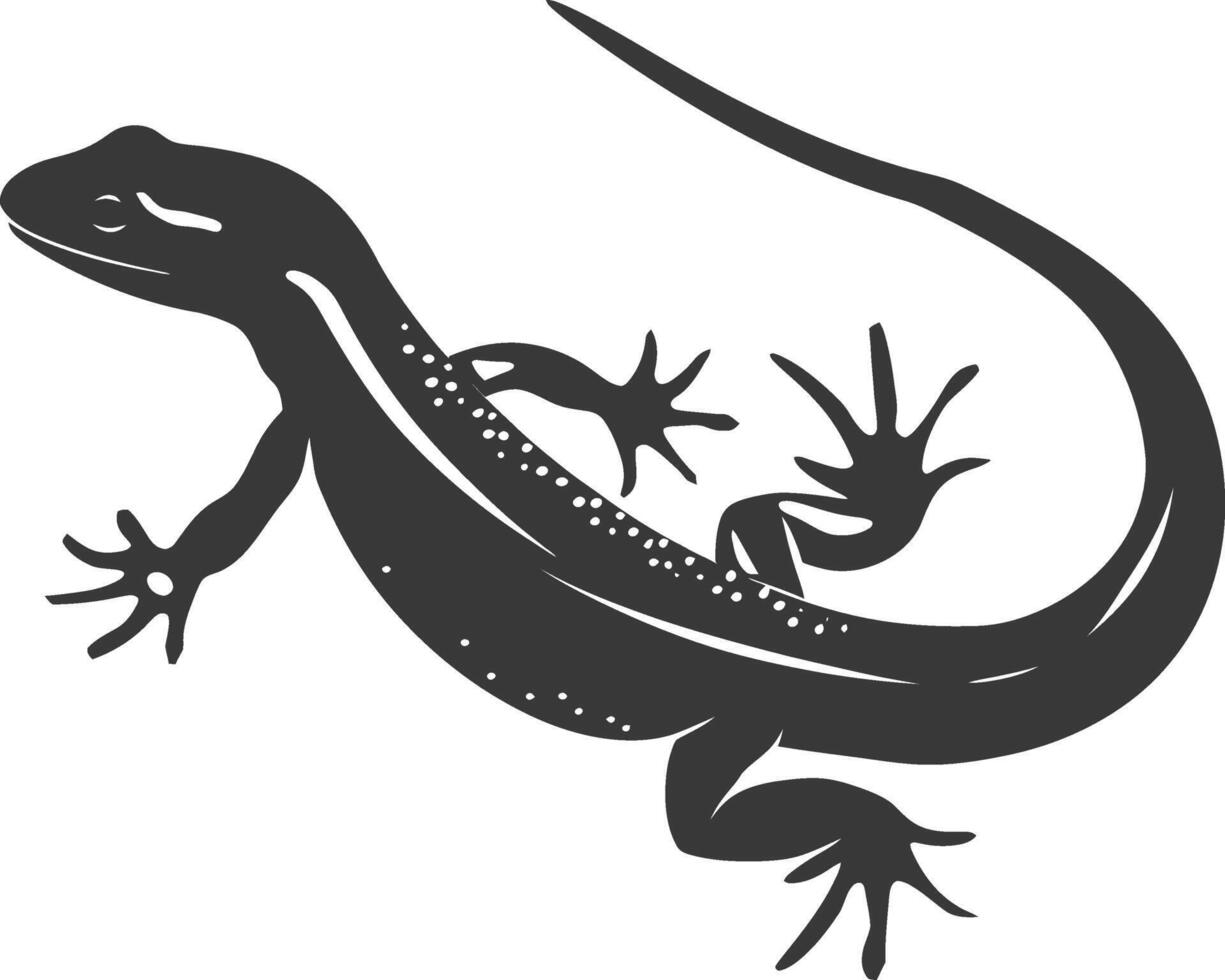 Silhouette salamander animal black color only vector