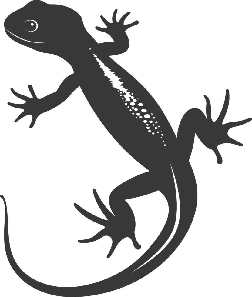 Silhouette salamander animal black color only vector