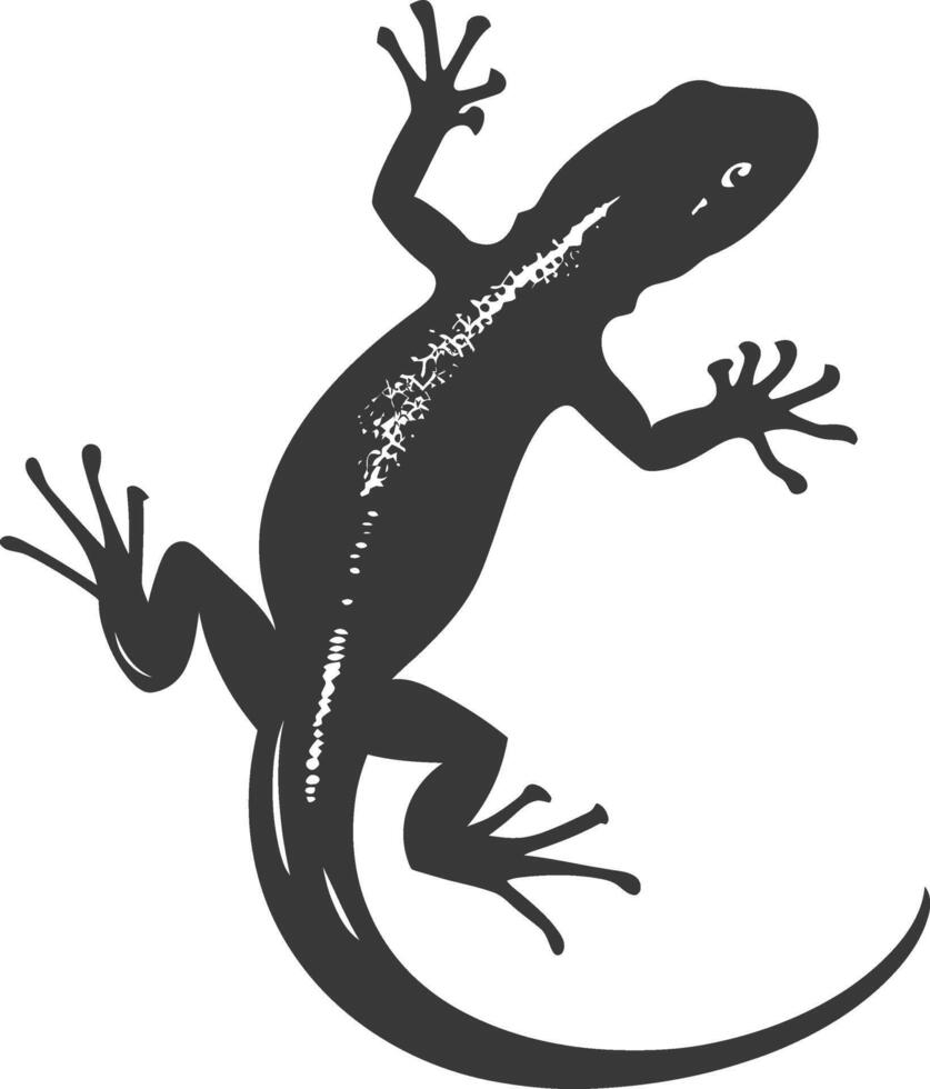 Silhouette salamander animal black color only vector