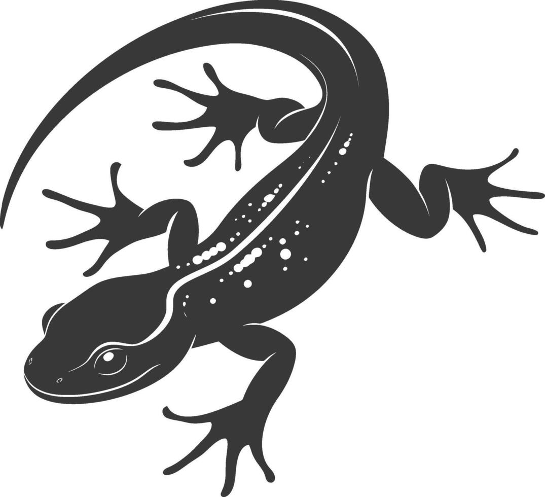 Silhouette salamander animal black color only vector