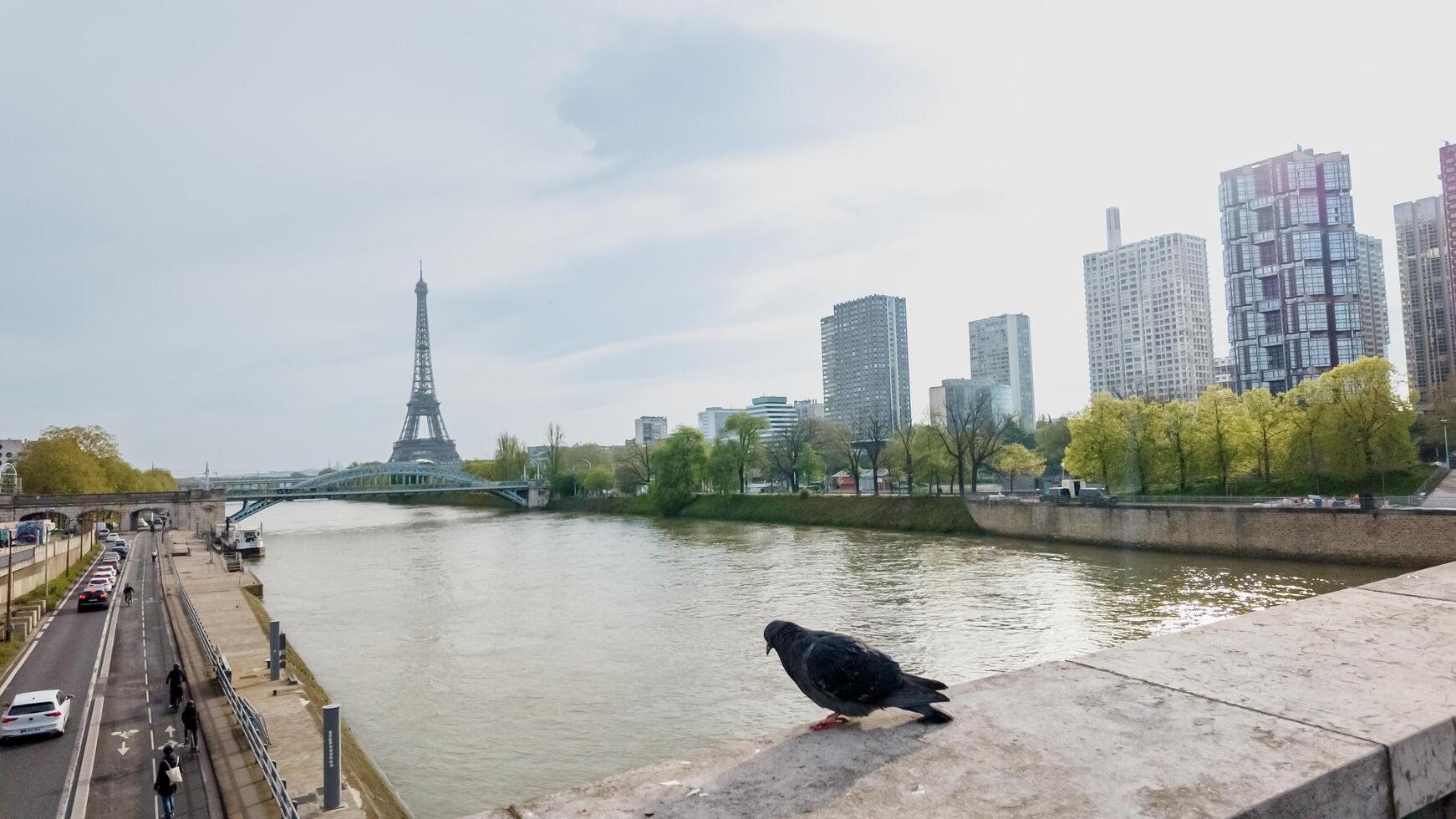 Pigeon perched on a riverbank with a tranquil view of the Seine and Eiffel Tower in springtime Paris, France, captured on April 14th, 2024, ideal for travel and urban themes photo
