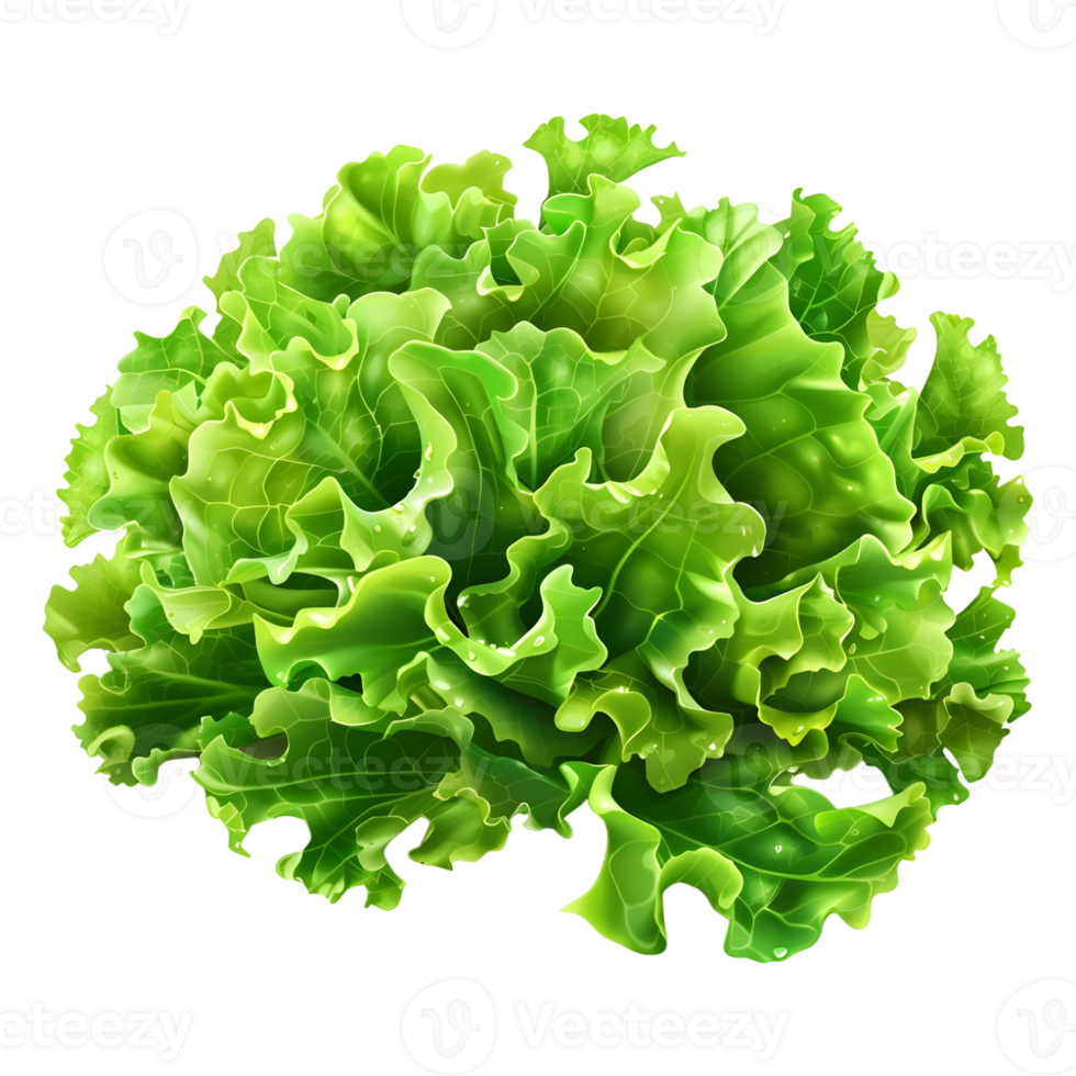 3D Rendering of a Green Lettuce on Transparent Background png
