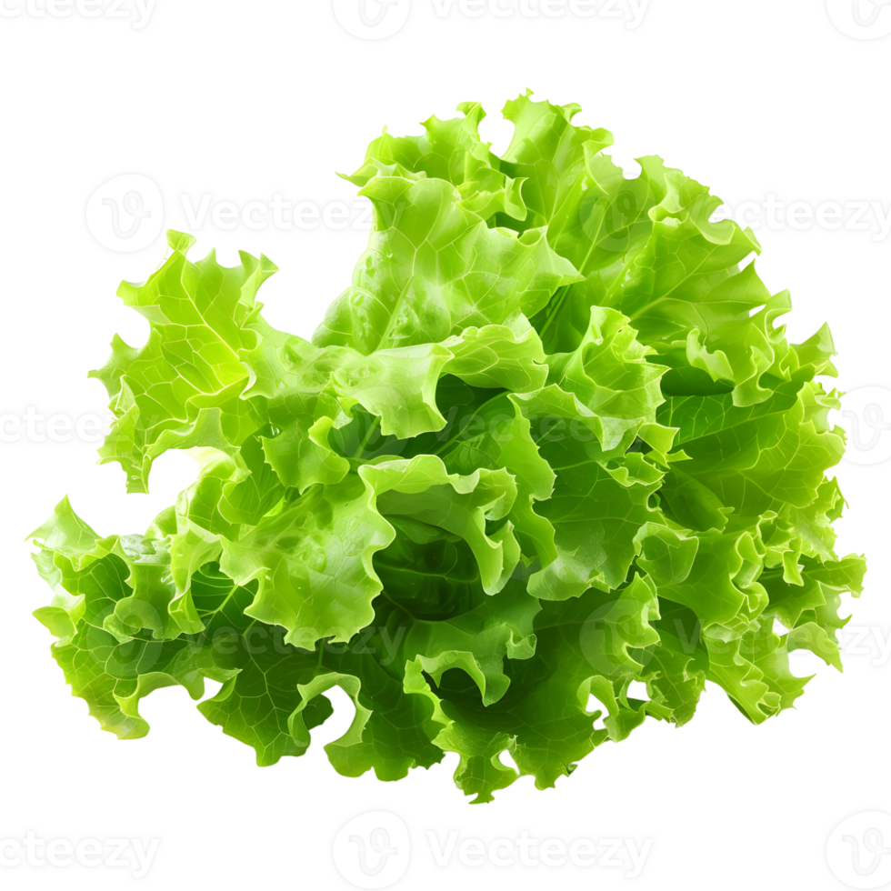 3D Rendering of a Green Lettuce on Transparent Background png