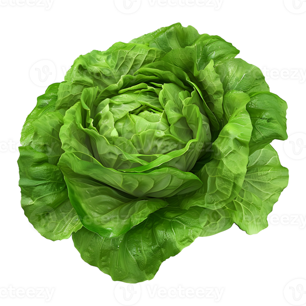 3D Rendering of a Green Lettuce on Transparent Background png