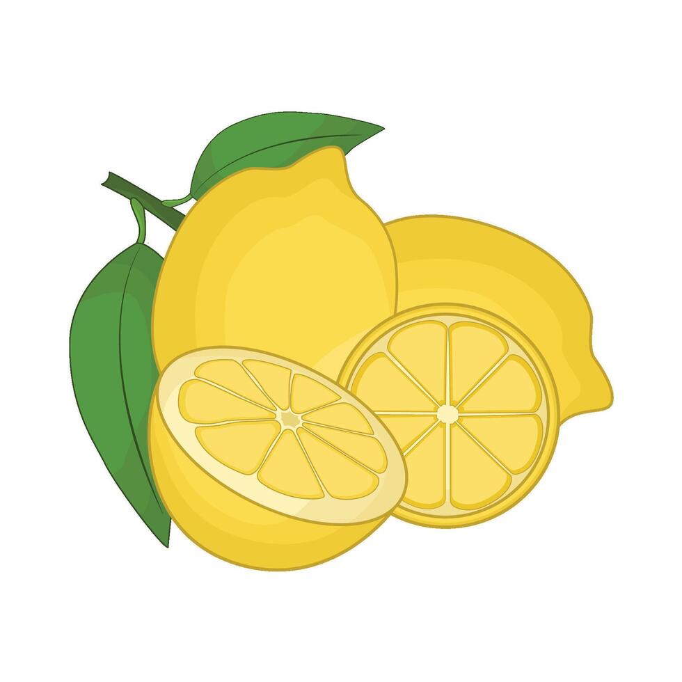 illustration of lemon vector