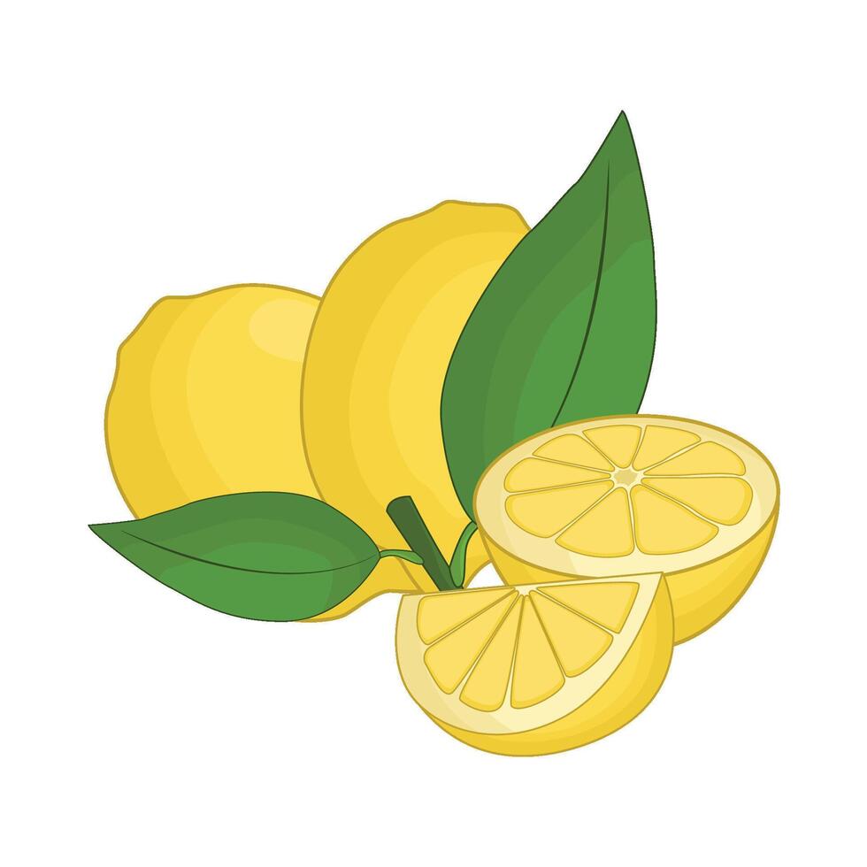 illustration of lemon vector