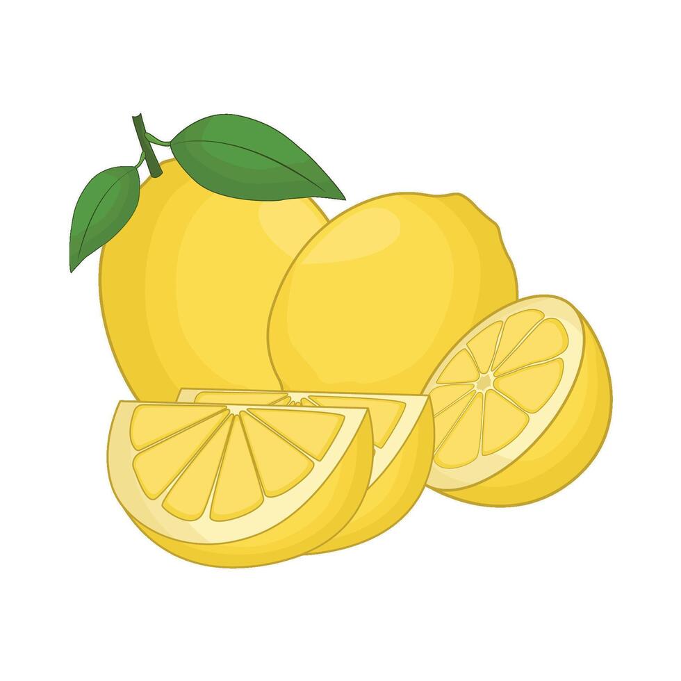 illustration of lemon vector