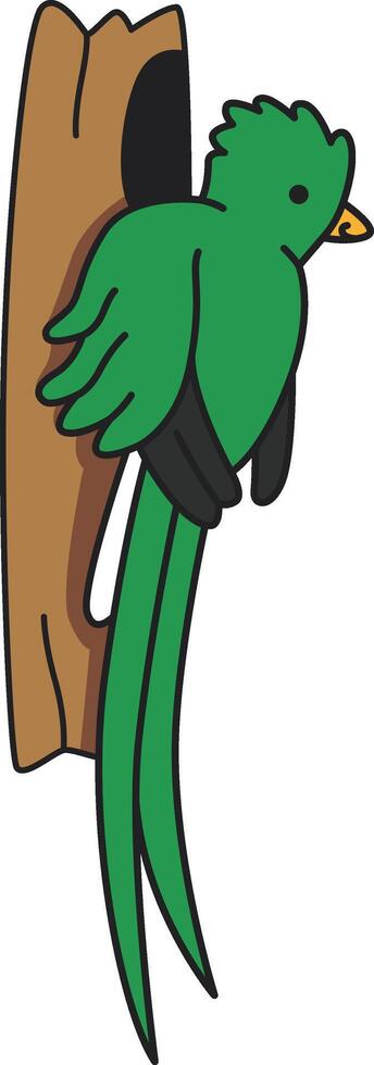 Cute quetzal illustration vector