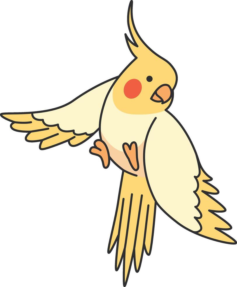 Cute Cockatiel illustration vector