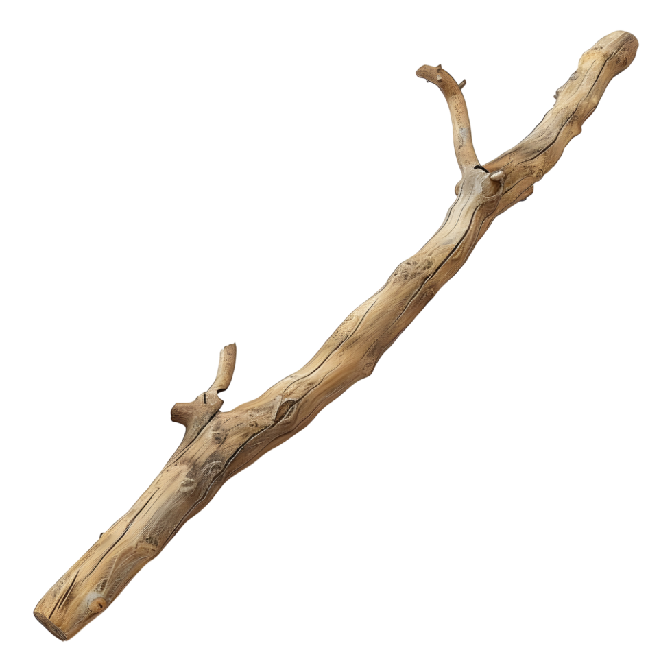 3D Rendering of a Long Wooden Stamp on Transparent Background png