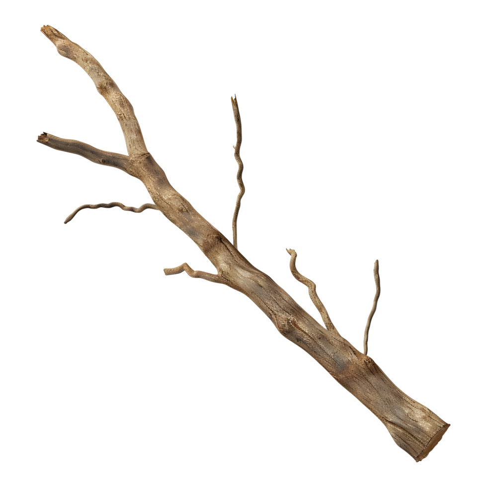3D Rendering of a Long Wooden Stamp on Transparent Background png